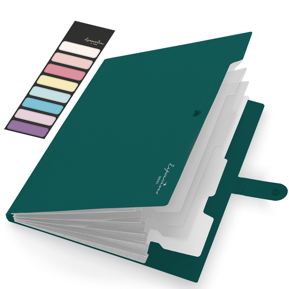 Sooez Accordion File Organizer, Expanding File Folder with Label, 5 Pocket