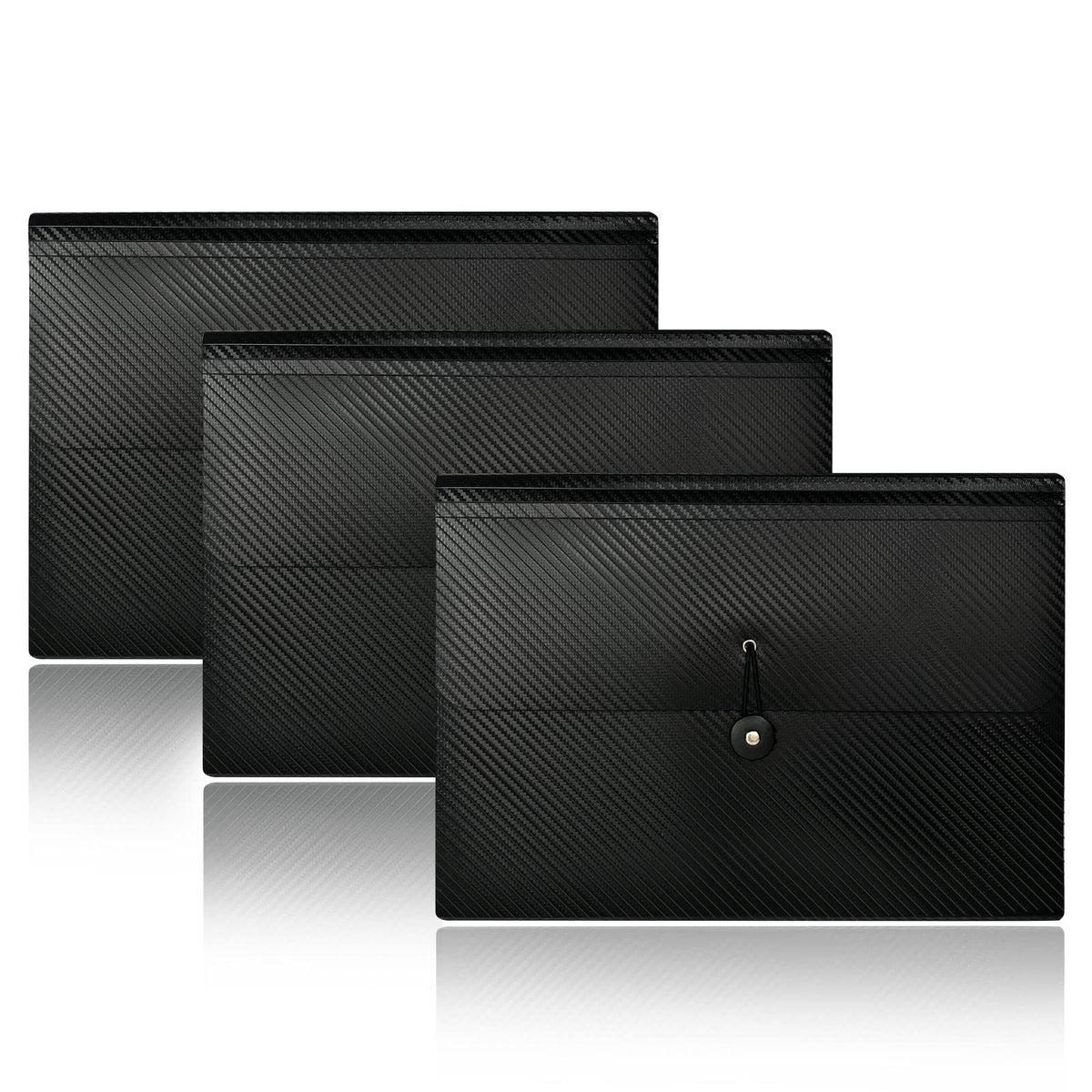 Cesil 13 Pockets Accordian File Organizer with Tabs Expanding File Folders